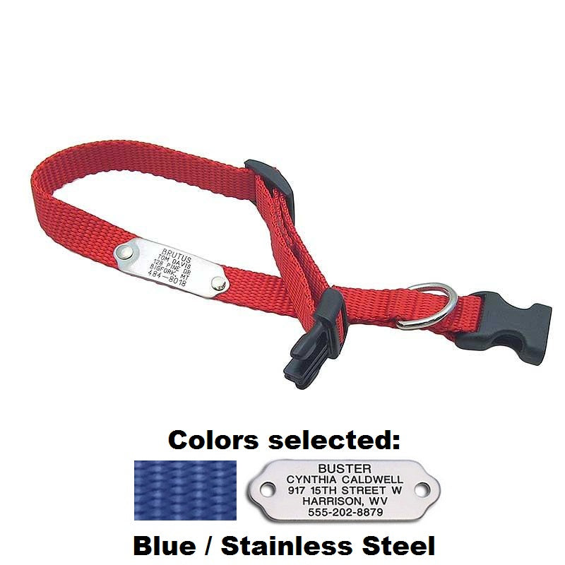 Rivet ID Collar for Dogs, - Lucky Pet